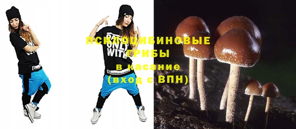 шишки Володарск
