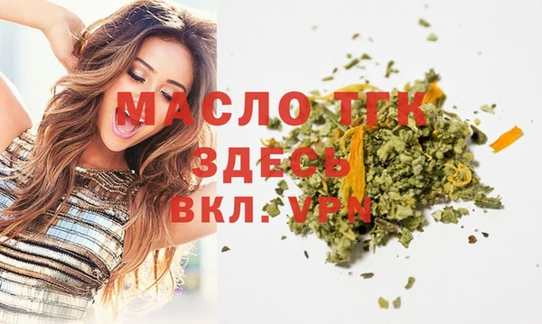 хмурый Горняк