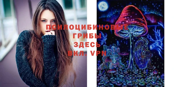 хмурый Горняк