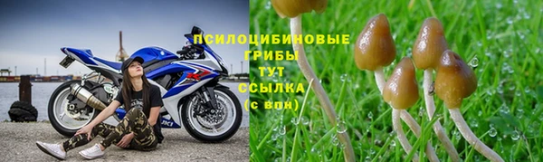 марки nbome Горнозаводск