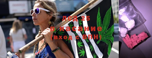 PSILOCYBIN Вязники