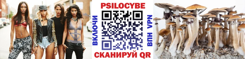 даркнет Telegram  Данилов  Псилоцибиновые грибы MAGIC MUSHROOMS 